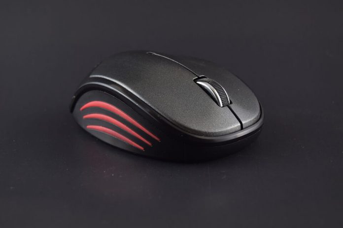 Souris